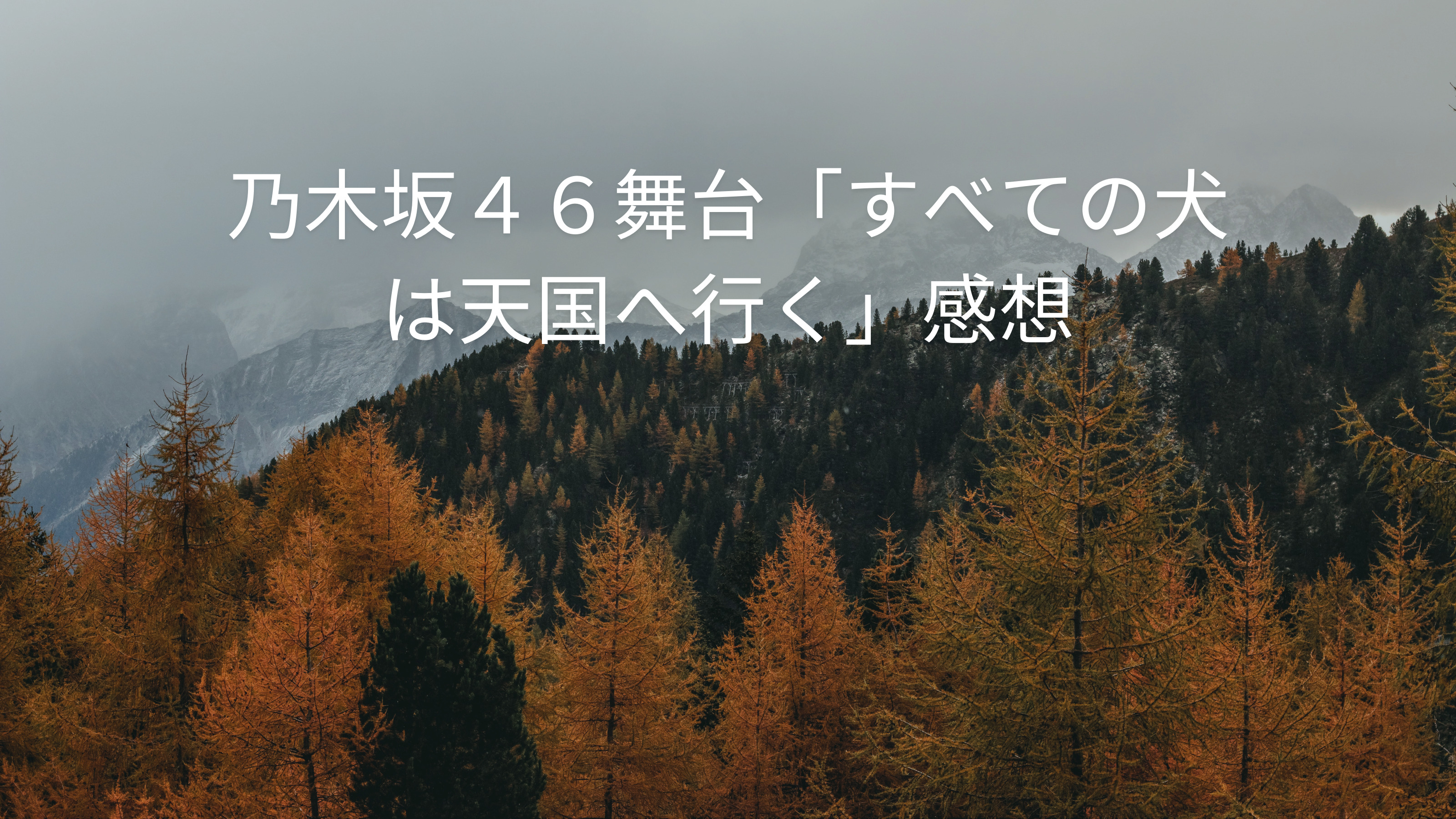 乃木坂46舞台「すべての犬は天国へ行く」評価と感想