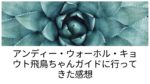 「アンディー・ウォーホル・キョウト展」齋藤飛鳥ガイドで行ってきた感想